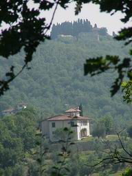 Ginestra a Fontepetrini