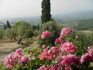veduta panoramica dalla terrazza sul Valdarno verso Arezzo